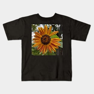 Orange and Yellow Sunflower Missing Petals Photographic Image Kids T-Shirt